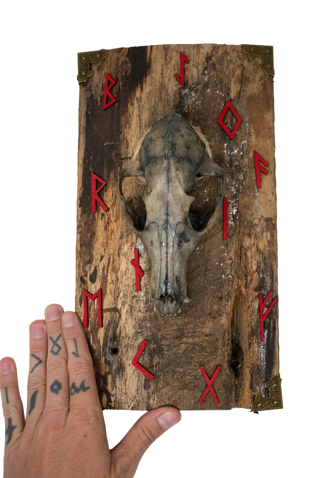 Runic Fox Skull Barn Wood Wall Hanging