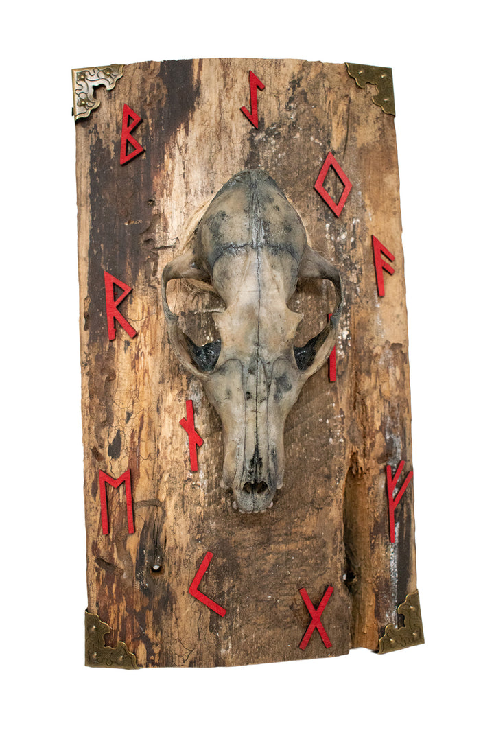 Runic Fox Skull Barn Wood Wall Hanging
