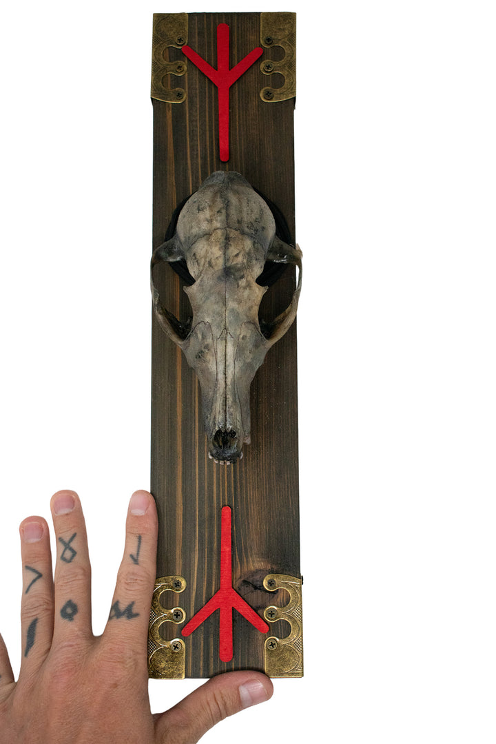 Life and Death Fox Skull Wall Hanging