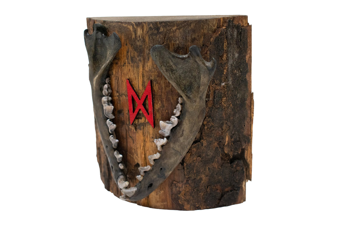 Rough Cut Pine Fox Jawbone Wall Hanging