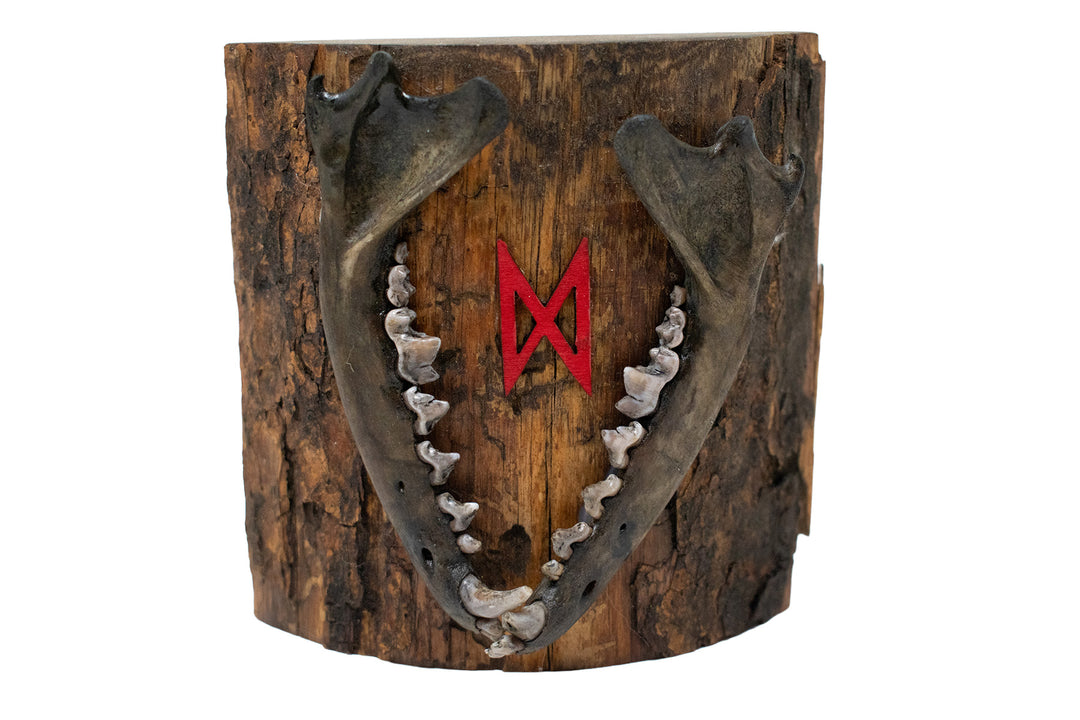 Rough Cut Pine Fox Jawbone Wall Hanging