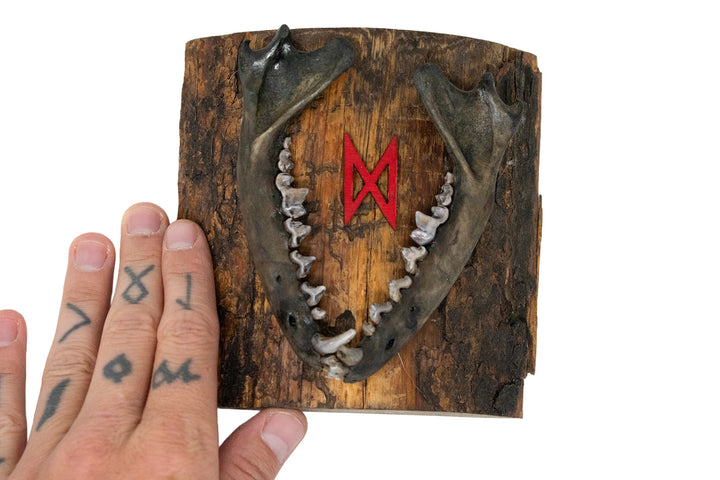 Rough Cut Pine Fox Jawbone Wall Hanging
