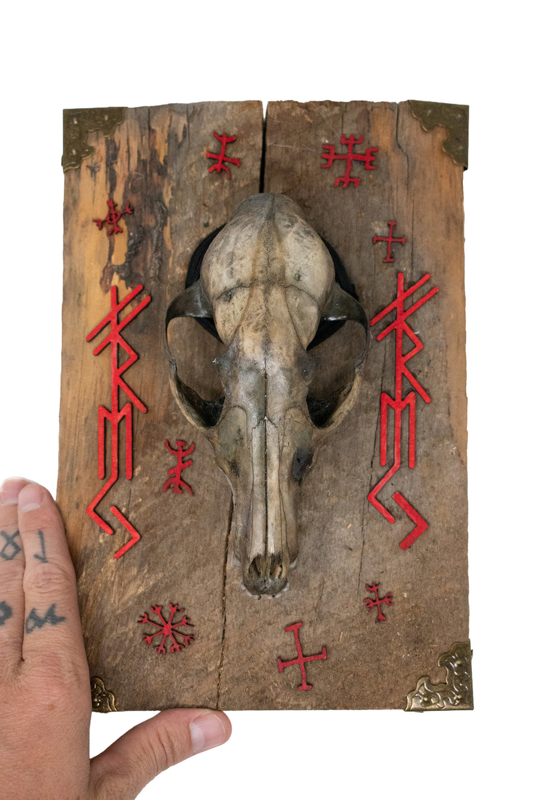 Freya Fox Skull Barn Wood Wall Hanging