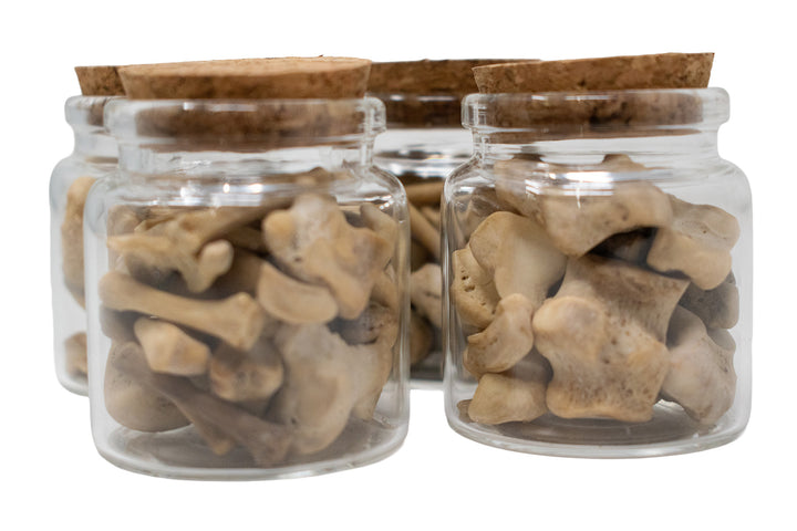 Jar of Wolf Bones
