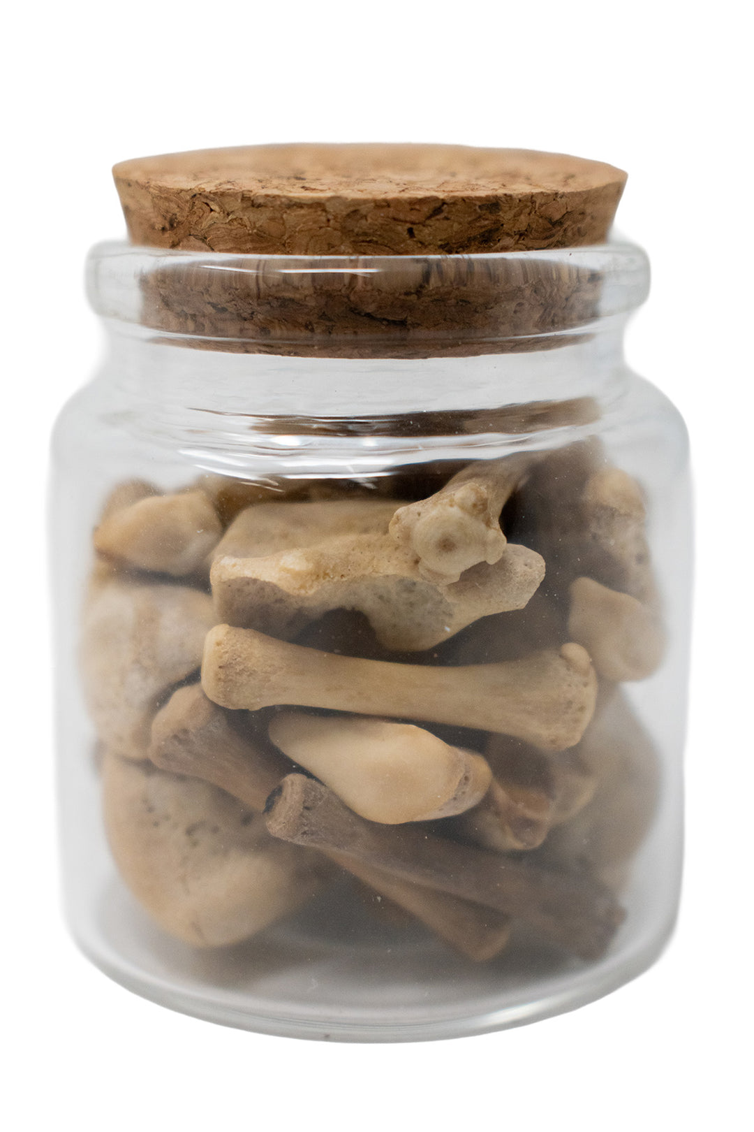 Jar of Wolf Bones