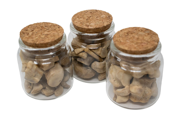 Jar of Wolf Bones