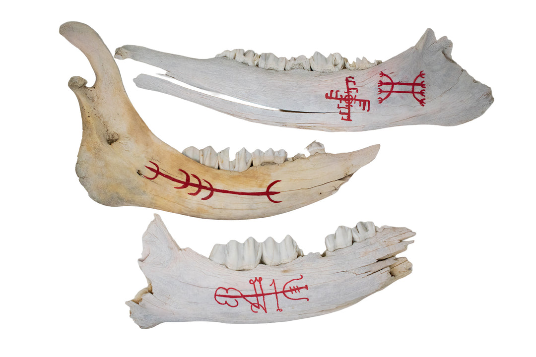 Painted Elk Jawbone Icelandic Magical Staves