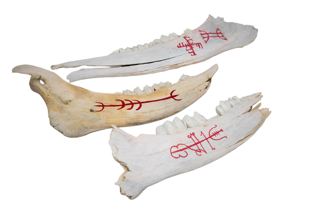 Painted Elk Jawbone Icelandic Magical Staves