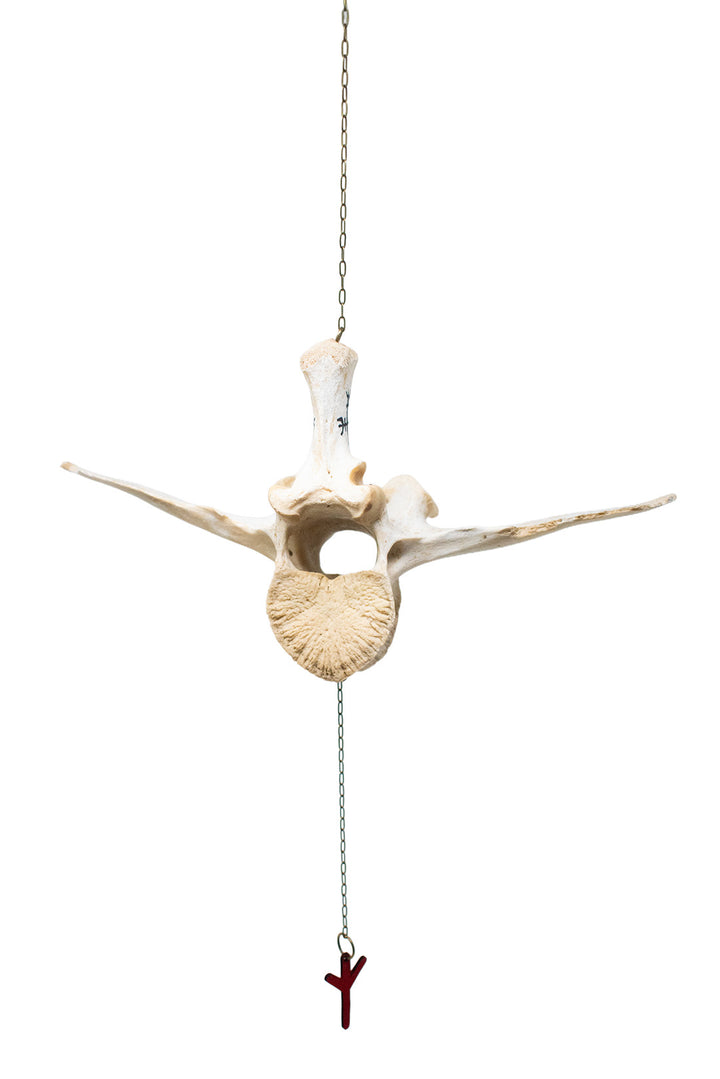 Cow Vertebra Hagall Hinn Minni Wind Chime
