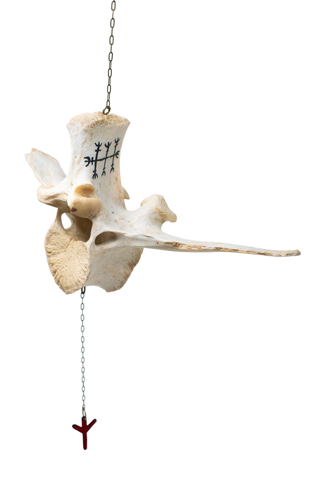 Cow Vertebra Hagall Hinn Minni Wind Chime