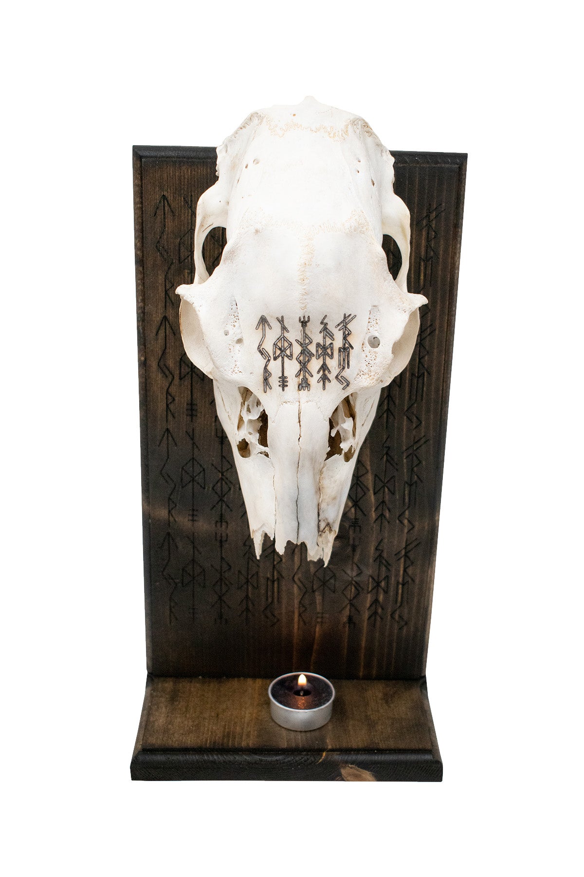 Deer Skull Altar with Norse God Invocation Bindrunes