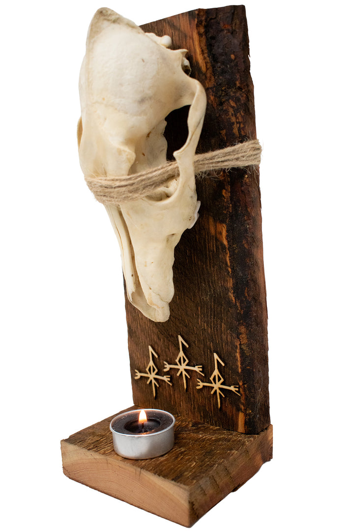 Barn Wood Coyote Skull Loki Altar