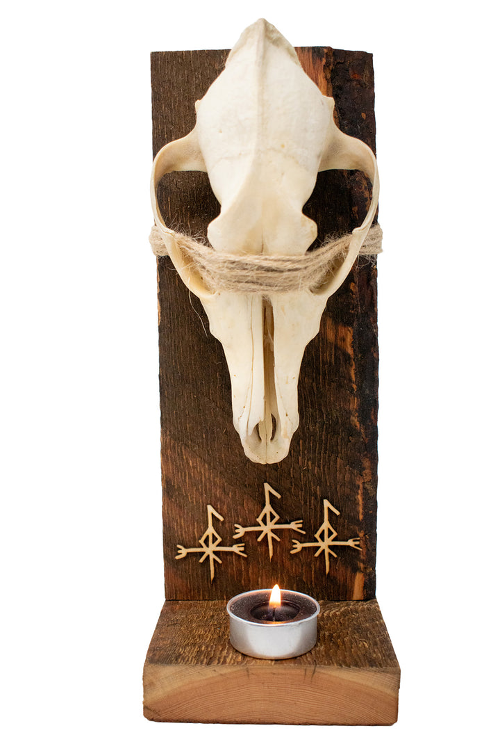 Barn Wood Coyote Skull Loki Altar