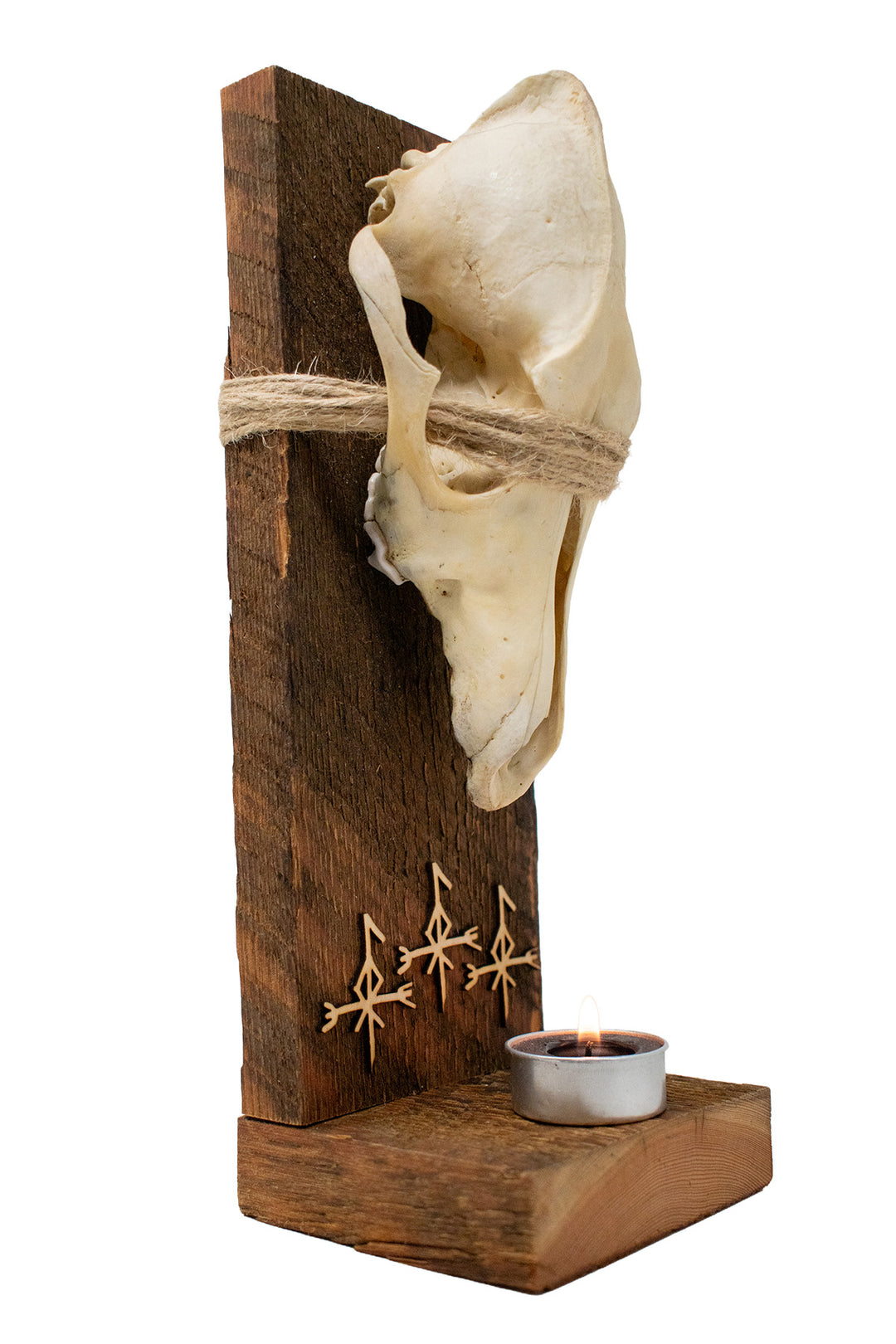 Barn Wood Coyote Skull Loki Altar