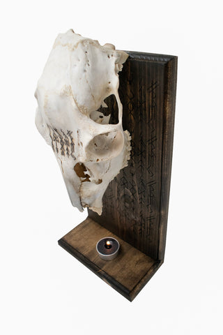 Image of Deer Skull Altar with Norse God Invocation Bindrunes