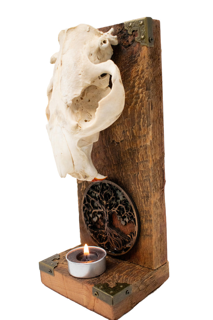 Beaver Skull Yggdrasil Altar