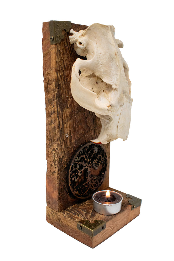 Beaver Skull Yggdrasil Altar