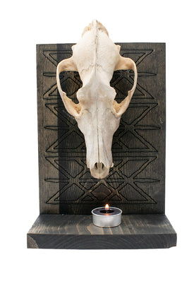Coyote Skull & Web Of Wyrd Altar