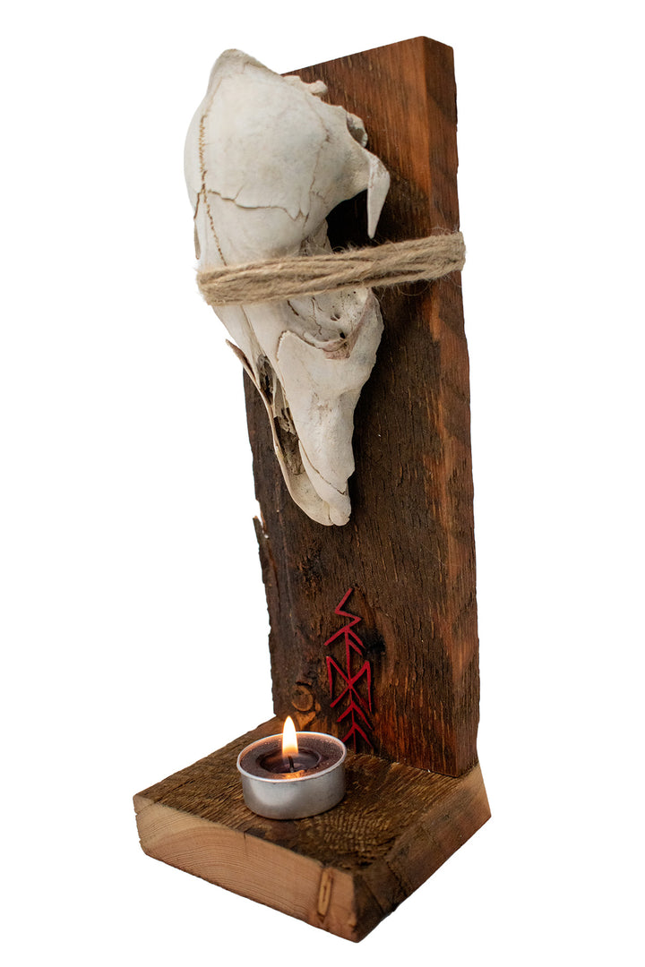 Skadi Bindrune Coyote Skull Altar