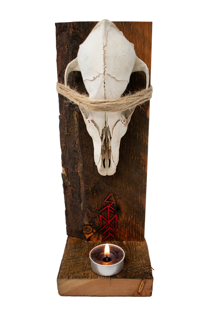Skadi Bindrune Coyote Skull Altar