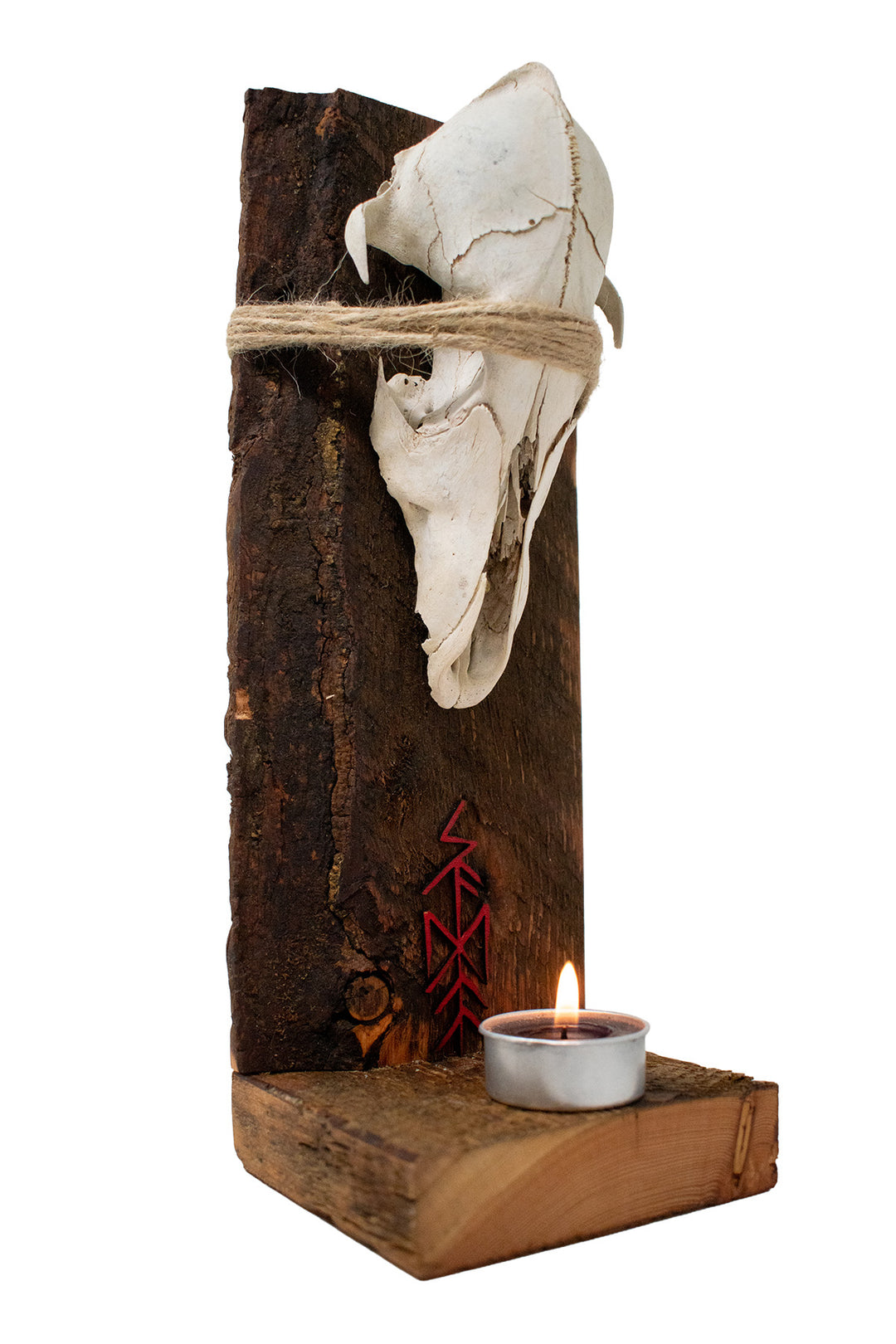 Skadi Bindrune Coyote Skull Altar