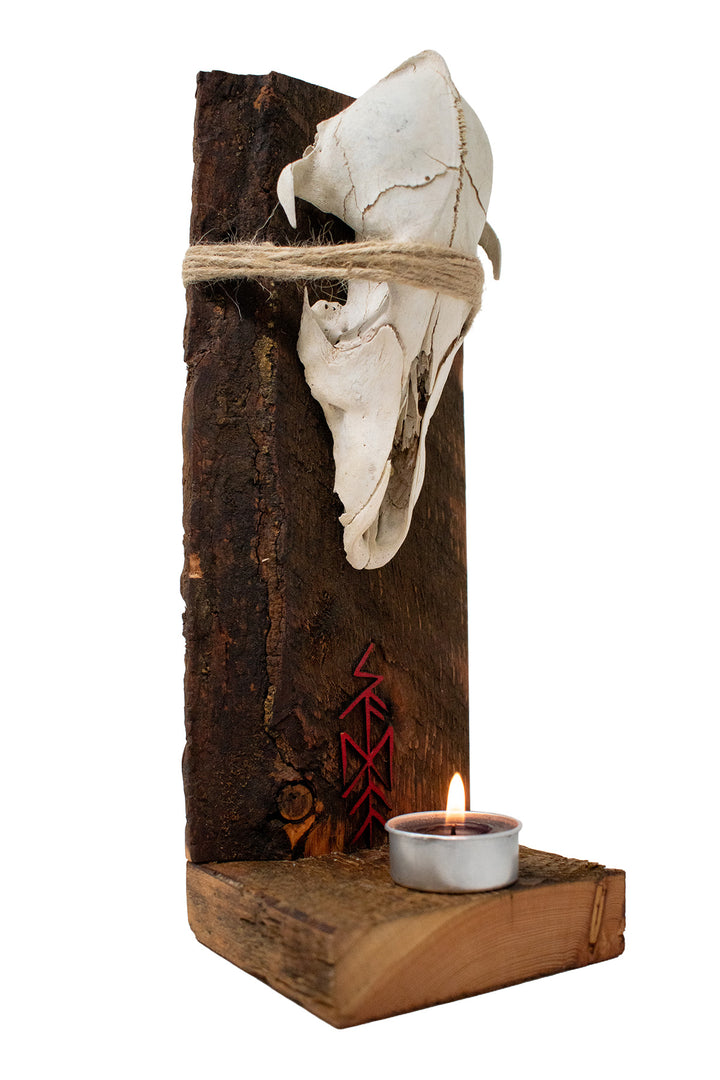 Skadi Bindrune Coyote Skull Altar