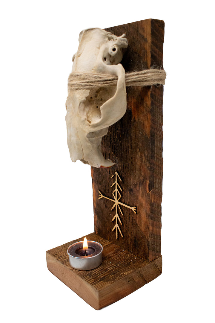 Beaver Skull Home Protection & Warding Altar