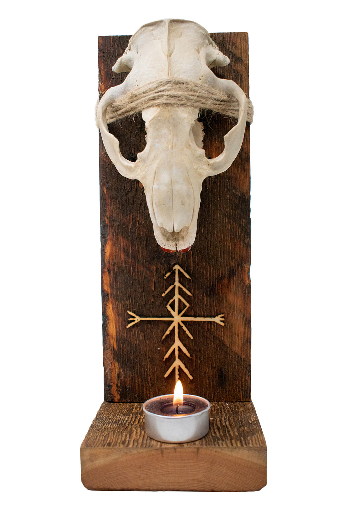 Beaver Skull Home Protection & Warding Altar