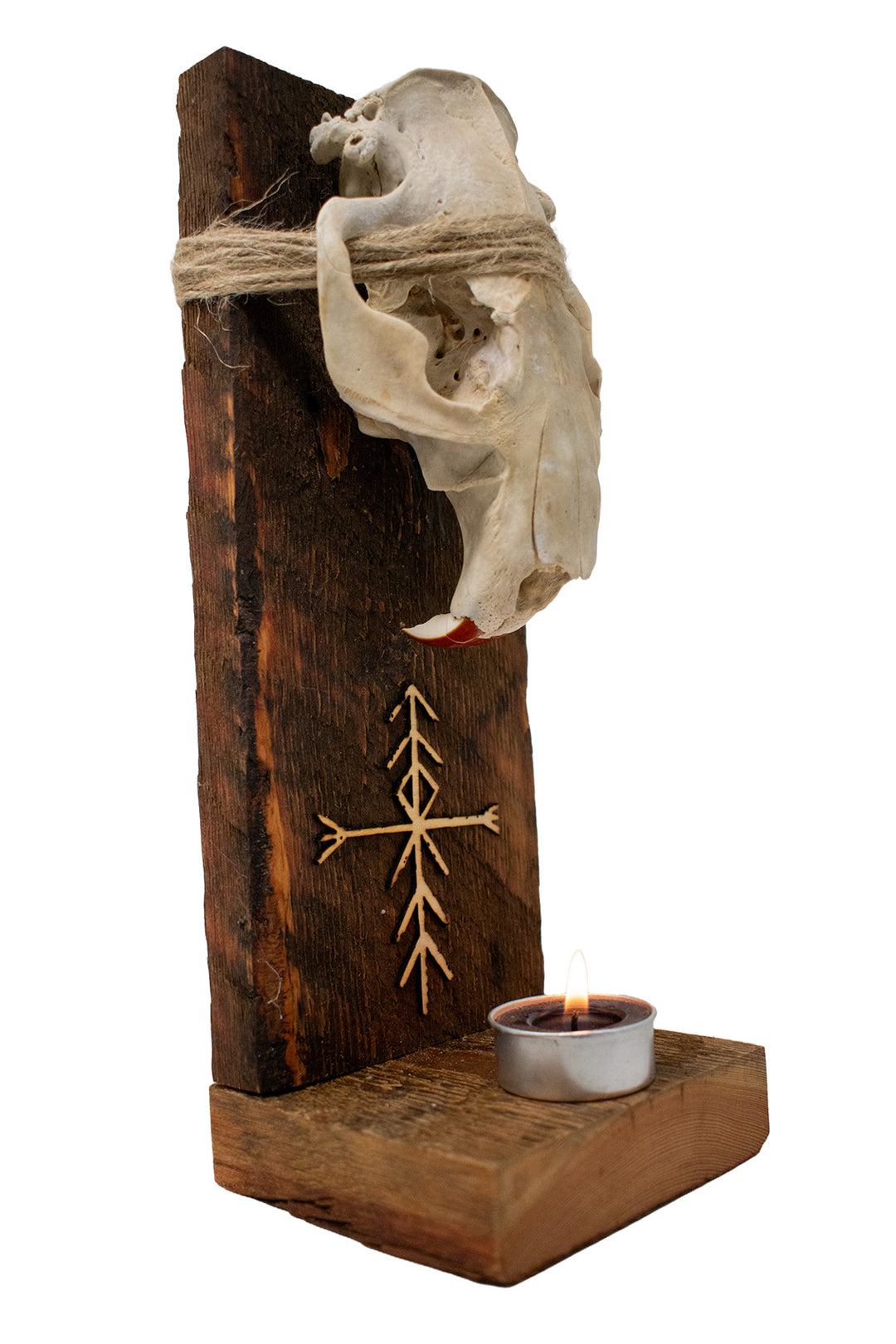 Beaver Skull Home Protection & Warding Altar