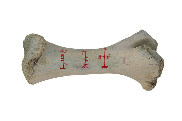 Hand Painted Bone Talismans