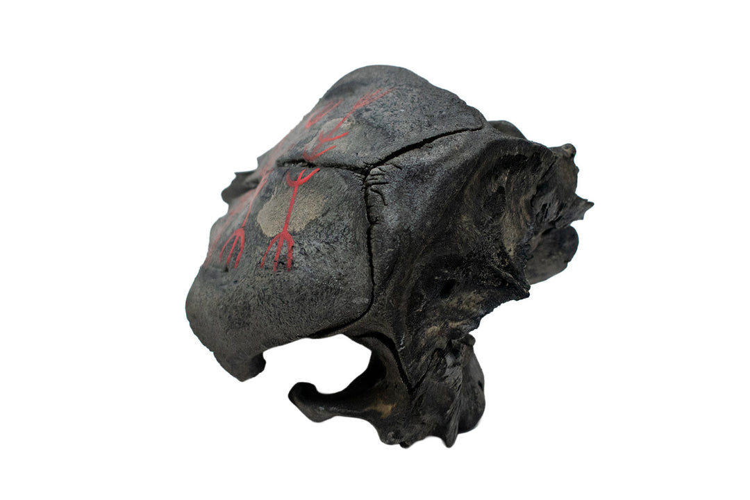 Blackened Calf Skull Protection Talisman