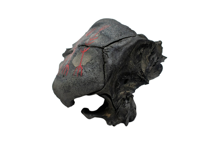 Blackened Calf Skull Protection Talisman