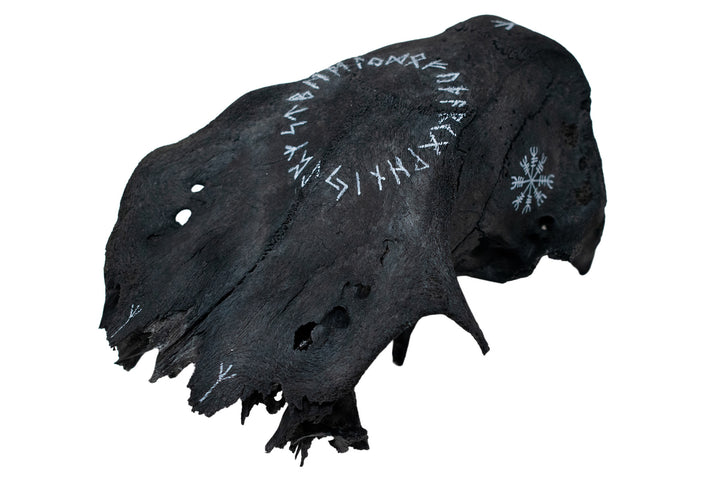 Runic Blackened Elk Skull Cap Talisman