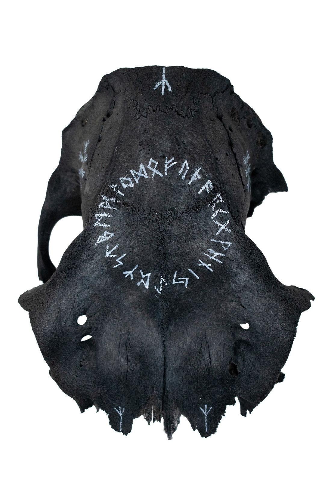 Runic Blackened Elk Skull Cap Talisman