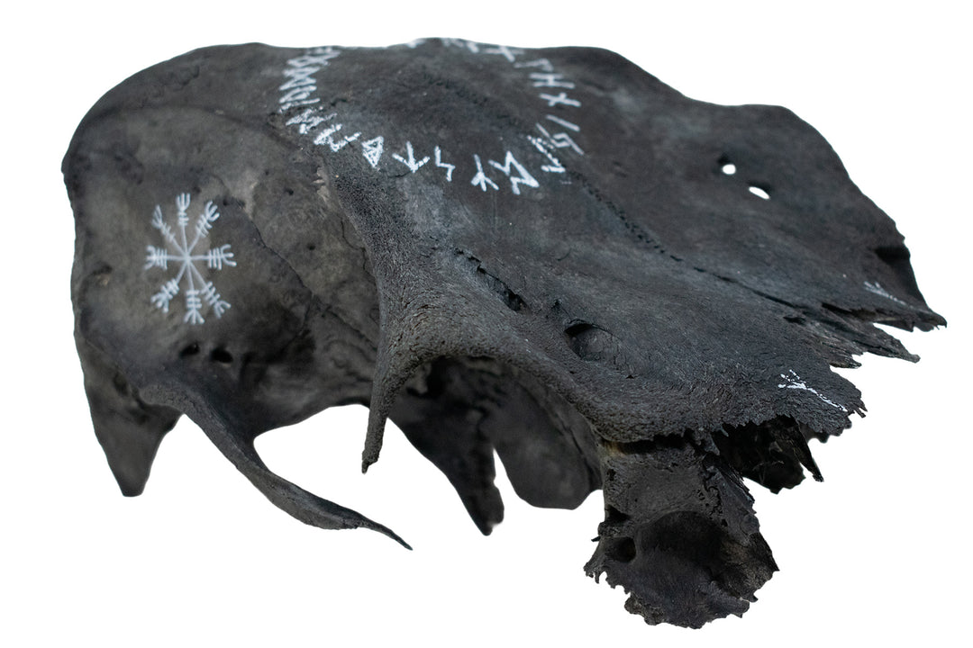 Runic Blackened Elk Skull Cap Talisman