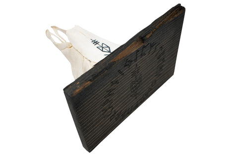 Image of Odin Bindrune Big Horn Sheep Skull Wall Hanger