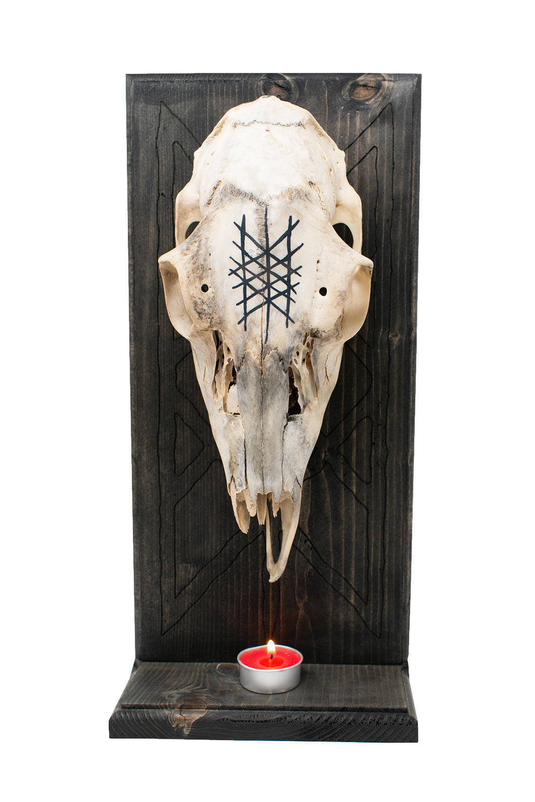 Web of Wyrd Deer Skull Altar