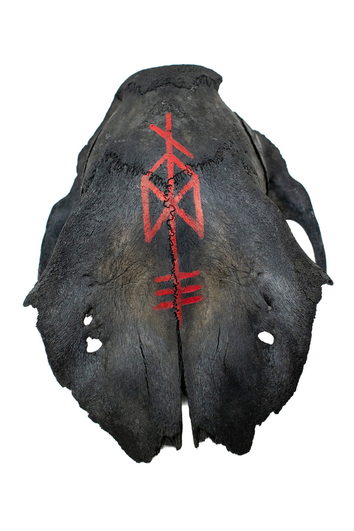 Blackened Skull Cap Talismans