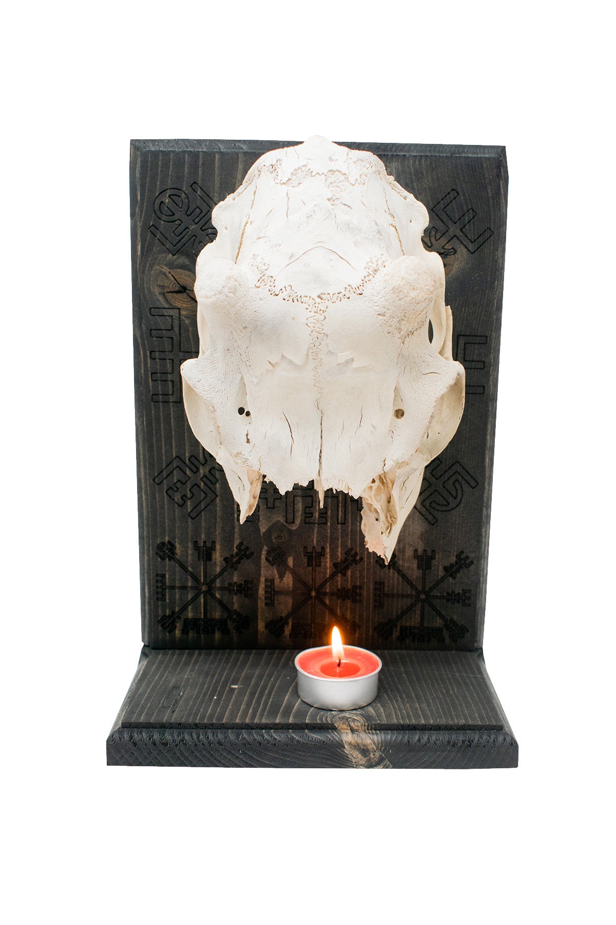 Deer Skull Vegvisir Altar