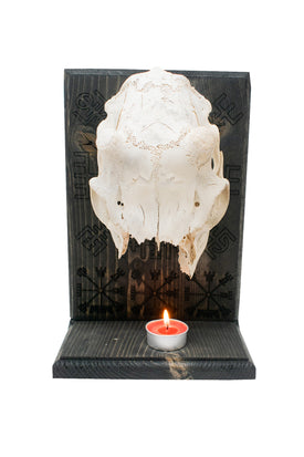 Deer Skull Vegvisir Altar