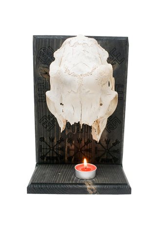 Image of Deer Skull Vegvisir Altar