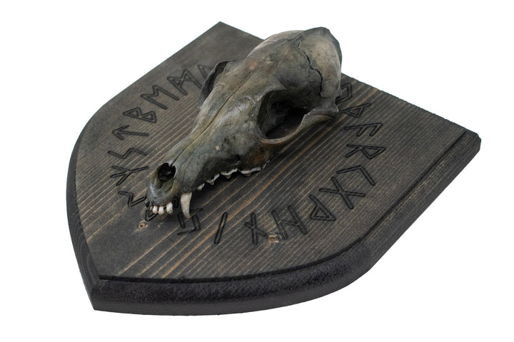 Blackened Fox Skull Elder Futhark Wall Hanger