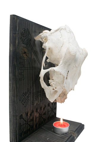 Image of Deer Skull Vegvisir Altar