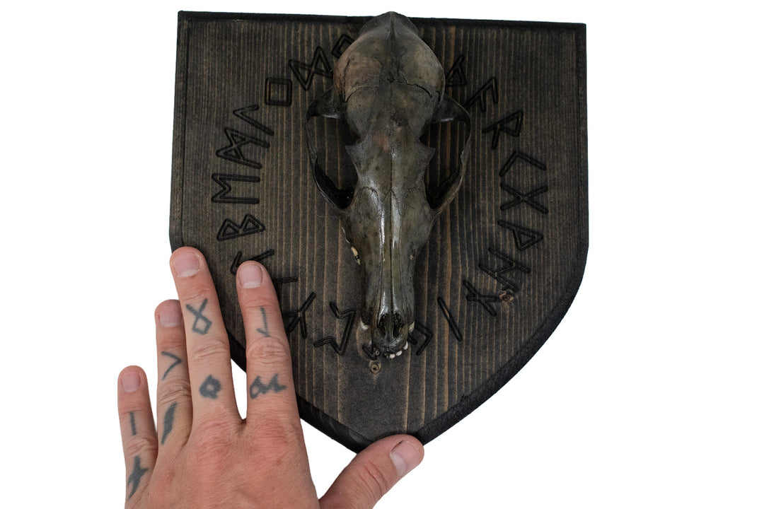 Blackened Fox Skull Elder Futhark Wall Hanger