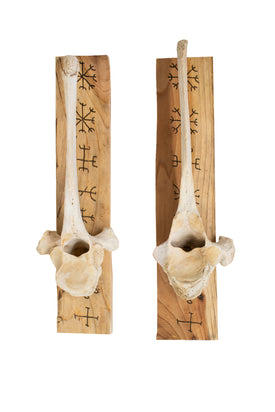 Set of Elk Vertebra Wall Hangers with Nine Helms Engraving