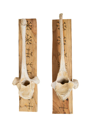 Image of Set of Elk Vertebra Wall Hangers with Nine Helms Engraving