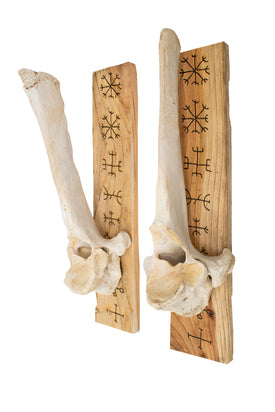 Set of Elk Vertebra Wall Hangers with Nine Helms Engraving