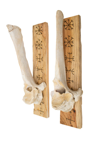 Image of Set of Elk Vertebra Wall Hangers with Nine Helms Engraving