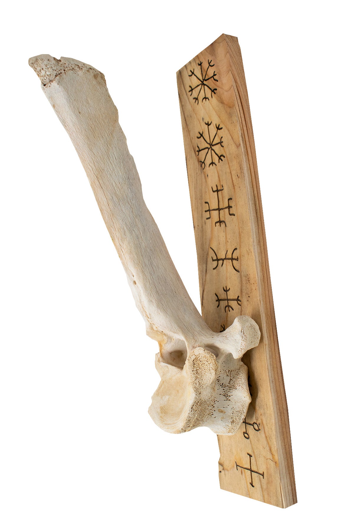 Set of Elk Vertebra Wall Hangers with Nine Helms Engraving