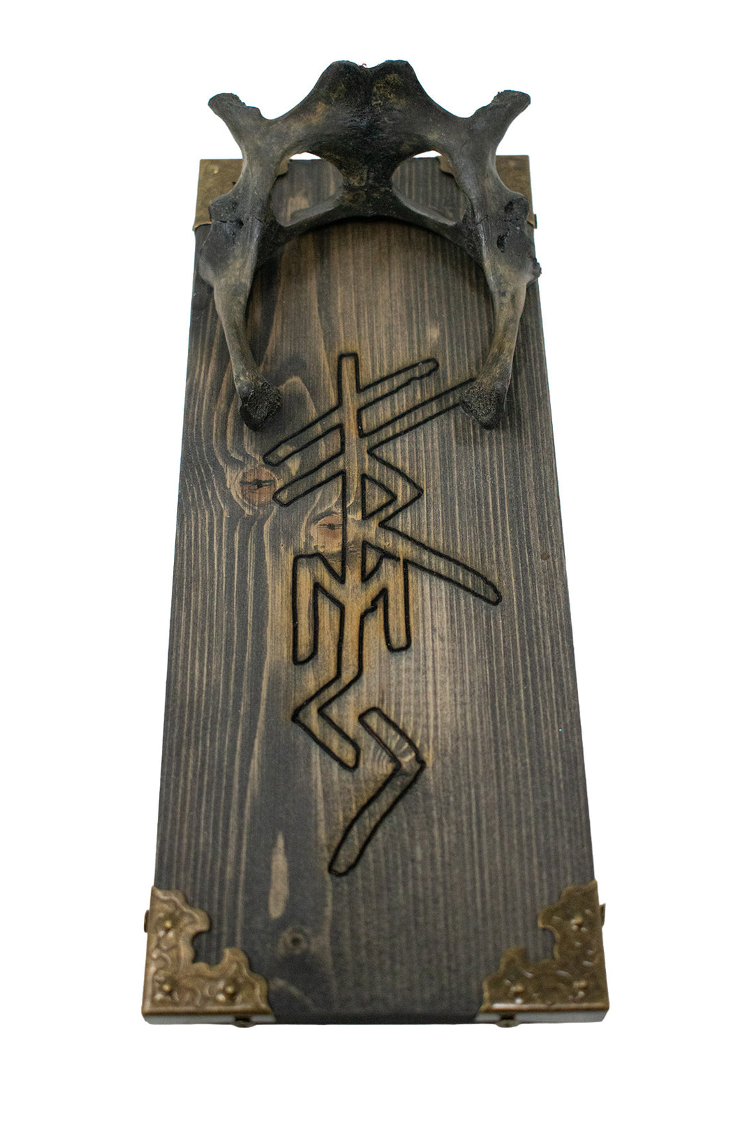 Turtle hip bone Freya bindrune wall hanger